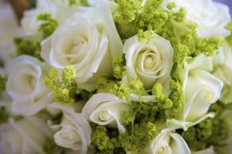 White roses